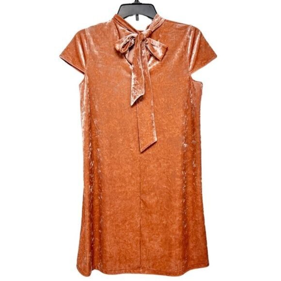 MADEWELL Crushed Velvet Mockneck Mini Dress in Peach Size S - Picture 9 of 10